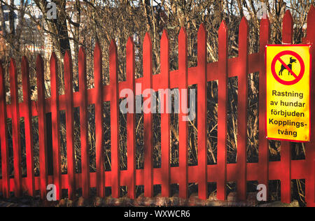 Yellow warning sign in Swedish warning do not let your dog off the lead leash, attached to traditional colour falu red fence, Sweden, Scandinavia Stock Photo