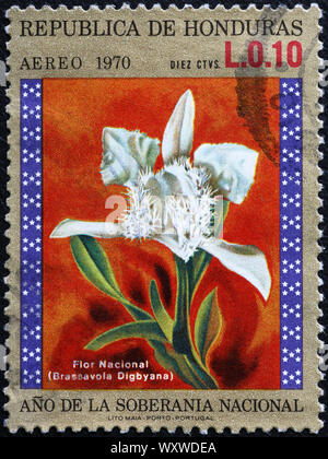 National flower of Honduras on postage stamp Stock Photo