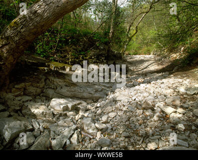 View downstream of the dry river bed of Afon Alyn, north of Loggerheads Country Park, North Wales. During dry spells the river runs underground. Stock Photo