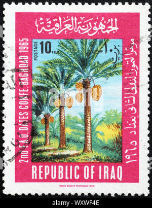 Date palm trees on iraqi postage stamp Stock Photo