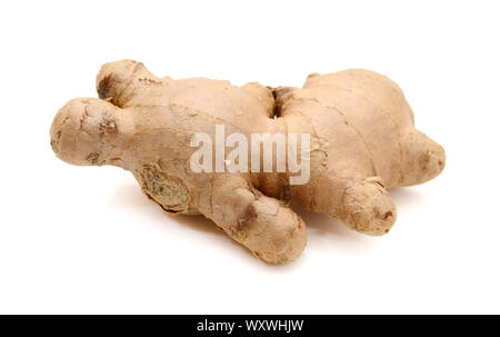 Root ginger isolated on white background. Stock Photo