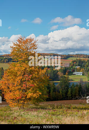 Colorful full foliage in rural Prince Edward Island, Canada. Stock Photo