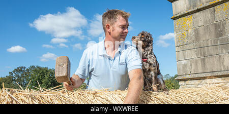 Oundle, Northamptonshire, UK. 18th September 2019.   Mr Chris Dodson, a fourth-generation Master Thatcher, working on the repair and renewal of a ridge with his eight-year-old Cocker Spaniel, Mollie, who is a regular companion on the roof as he works.  Credit: Matt Limb OBE/Alamy Live News Stock Photo