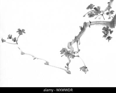 A plum tree branch in bloom. Traditional chinese painting. Ink painting Stock Photo
