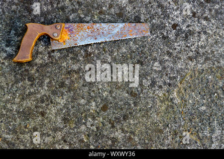 Detail of an old concrete wall covered with lichens, with an old rusty handmade wood peak. Background. Vintage Stock Photo