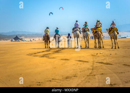 Essaouira, Morocco - August 15, 2013: Several tourists ride horses and camels at the sunny Moroccan seaside. Two hang gliders float above in a bright Stock Photo
