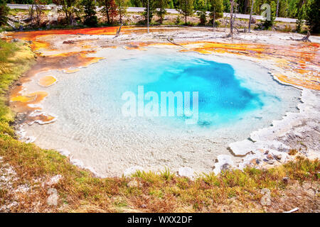 Silex Spring, a hot spring pool at Fountain Paint Pot in Yellowstone National Park, Wyoming, USA. Stock Photo