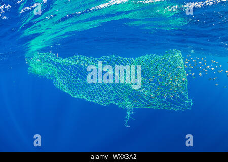 A floating, abandoned net in the ocean, Dominica, Caribbean Sea, Atlantic Ocean.