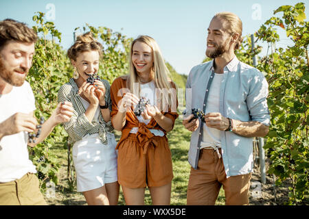 Group of a young friends tasting grapes on the vineyard, having fun while hanging out together at the winery on a sunny morning Stock Photo