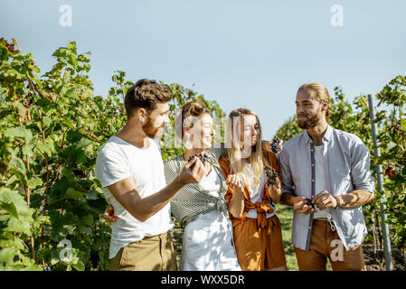 Group of a young friends tasting grapes on the vineyard, having fun while hanging out together at the winery on a sunny morning Stock Photo