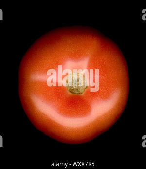 Tomato isolated on black background. Stock Photo