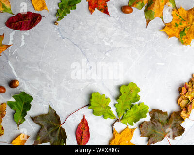 autumn leaf on marble background Stock Photo