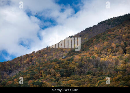 The Fall colours of Aspen and Maple trees at picturesque and spectacular The Equinox Mountain in Manchester, Vermont, USA Stock Photo