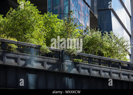The High Line by Hudson Yards from West 30th Street on west side Manhattan, New York City Stock Photo