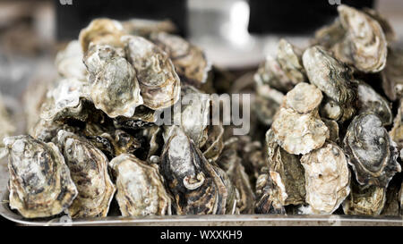 Mussels in shells freshly catching laying outdoor Stock Photo