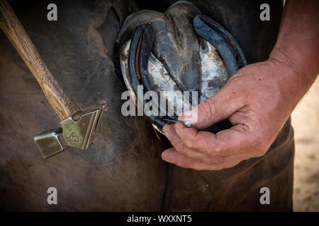 Hand shots of a farrier in the process of applying a new shoe to a horse Stock Photo