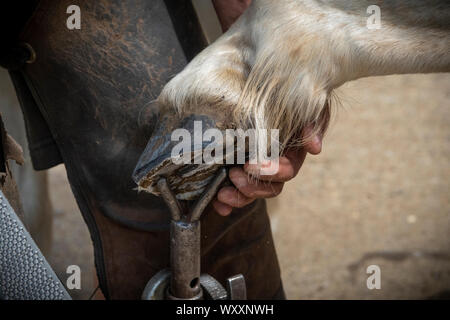 Hand shots of a farrier in the process of applying a new shoe to a horse Stock Photo