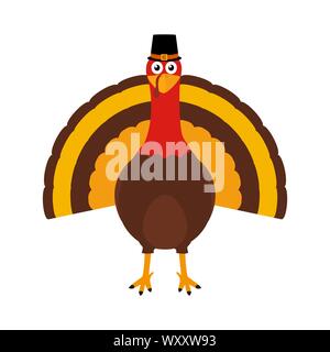 Turkey Pilgrimin on Thanksgiving Day Stock Vector