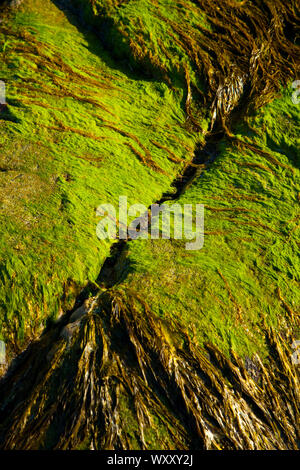 Playa Mol Foirs Geòdha Beach. Mealasta. Southwest Lewis island. Outer Hebrides. Scotland, UK Stock Photo