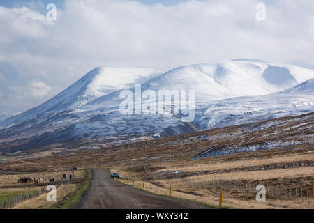 SAUDARKROKUR, ICELAND - Dirt road and snow-covered mountain landscape in northern Iceland. Stock Photo