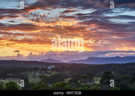The suns light reflecting on clouds just after sunset over a forest with the Great Dividing Range in the background taken from Repton, NSW, Australia Stock Photo