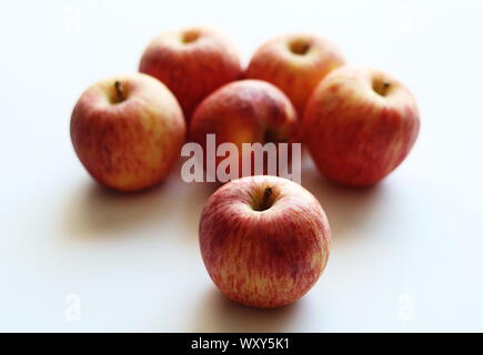 Cameo apples on plain white background Stock Photo