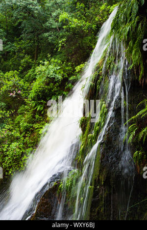 Small waterfall in a lush green forest - portrait view Stock Photo
