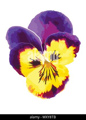 Purple violet flower isolate Stock Vector