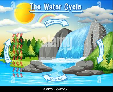 Water cycle process on Earth - Scientific illustration Stock Vector ...