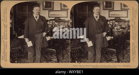 President Theodore Roosevelt in his office, the Cabinet Room, White House, Washington, USA, Stereo Card, Underwood & Underwood, 1902 Stock Photo