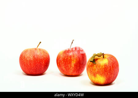Three red eating apples isolated on a white background with space for copy Stock Photo