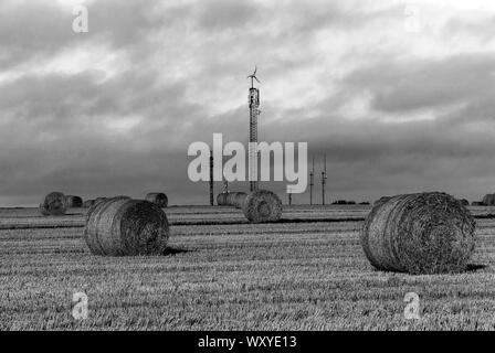 Harvesting. Hay bales in a field under a blue sky. Kinsale. County Cork, Ireland. Countryside natural landscape. Grain crop. Wheat yellow golden harve Stock Photo