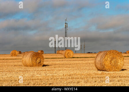 Harvesting. Hay bales in a field under a blue sky. Kinsale. County Cork, Ireland. Countryside natural landscape. Grain crop. Wheat yellow golden harve Stock Photo