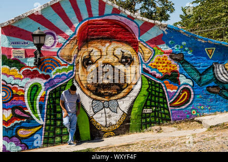 Wall art graffiti, Puerto Vallarta, Jalisco, Mexico. Stock Photo