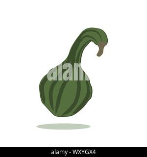 green pumpkin isolated on white background vector illustration EPS10 Stock Vector