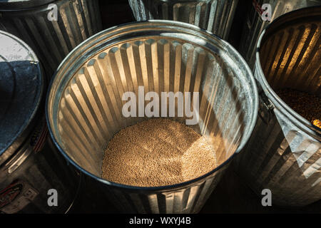 USA, Washington State, Woodland. August 18, 2019. Bin of grain at the Cedar Creek Grist Mill. Stock Photo