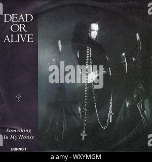 Dead Or Alive Something In My House Vintage 7 Inches Record Cover Stock Photo Alamy