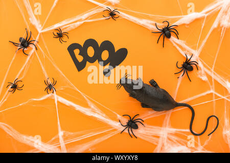 Halloween decorations with spiders, web, rat and spiders as symbols of Halloween on the orange background. Happy Halloween concept. Stock Photo