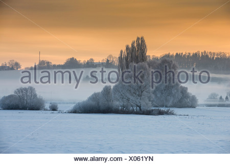 snow landscape with ground fog in morning light, Germany, Bavaria, Isental