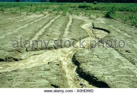 Erosion gully or rill cut in field soil after heavy rains Stock Photo ...