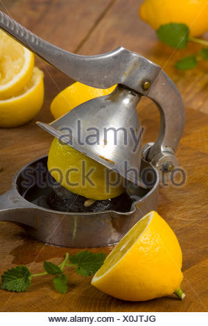 Lemon squeezer compressor Clearance