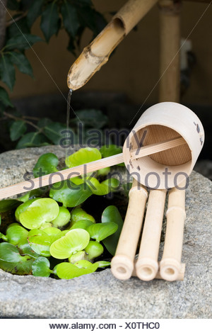 Japanese Bamboo Fountain with Stone Basin in the Fall Stock Photo
