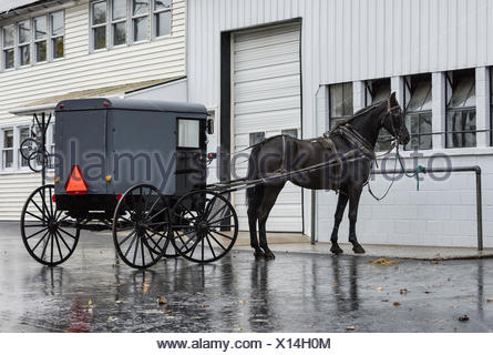 Amish horse carriage. Amish horse-drawn carriage (buggy) on a street in ...