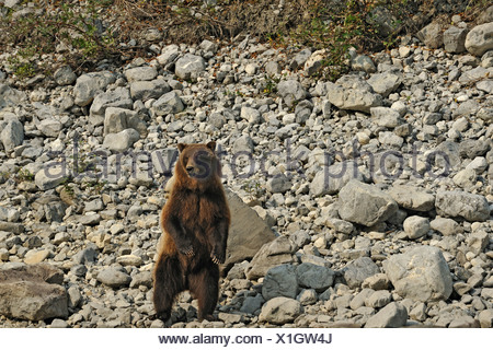 south-nahanni-river-nahanni-national-park-reserve-northwest-stock