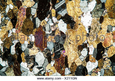 amphibolite rock thin section Stock Photo - Alamy