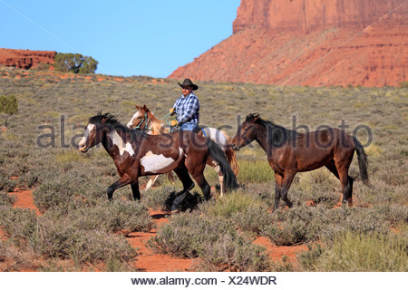 Navajo cowboys riding on Mustangs, Utah, United States Stock Photo ...