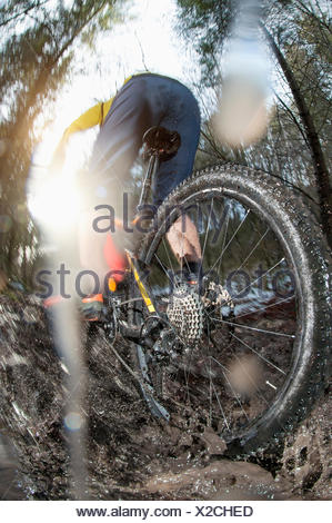 Close-up of biker riding bike through puddle in forest