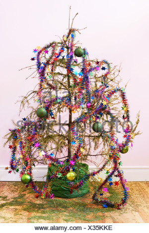 Dead Christmas tree Stock Photo  Alamy