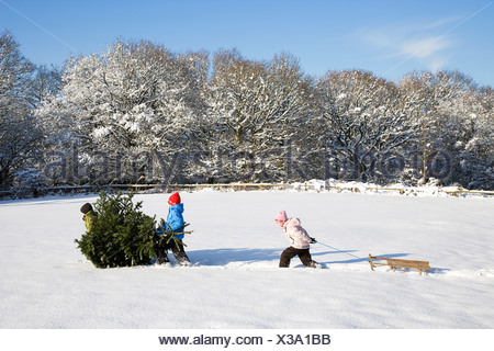 Young boy pulling a sled up a snow covered hill in the winter Stock ...