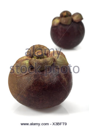 Mangostane Stock Photo Alamy